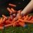 NERF N SERIES šautuvas Infinity, F8631 