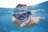 BESTWAY nardymo rinkinys Meridian (akiniai, vamzdelis, plaukmenys), asort., 25020 25020
