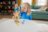 FISHER PRICE medinis balansinis medis, HXT87 