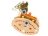 HAPE konstruktorius Carnival Builder Set, 73 priedai, E3040A 