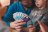 BRAIN GAMES žaidimas Zing-a-Zam, BRG#ZING BRG#ZING