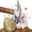NATIONAL GEOGRAPHIC rinkinys Break Your Own Geode, RTNGGEO5 