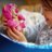 43306 LEGO® ǀ Disney ir Pixar Žaislų istorija Lotso 