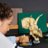 76969 LEGO® Jurassic World™ Dinozaurų fosilijos: triceratopso kaukolė 
