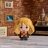 4D BUILD dėlionė Hermione chibi, 6069825 