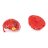 BAKUGAN rinkinys Training Set, asort., 6066993 